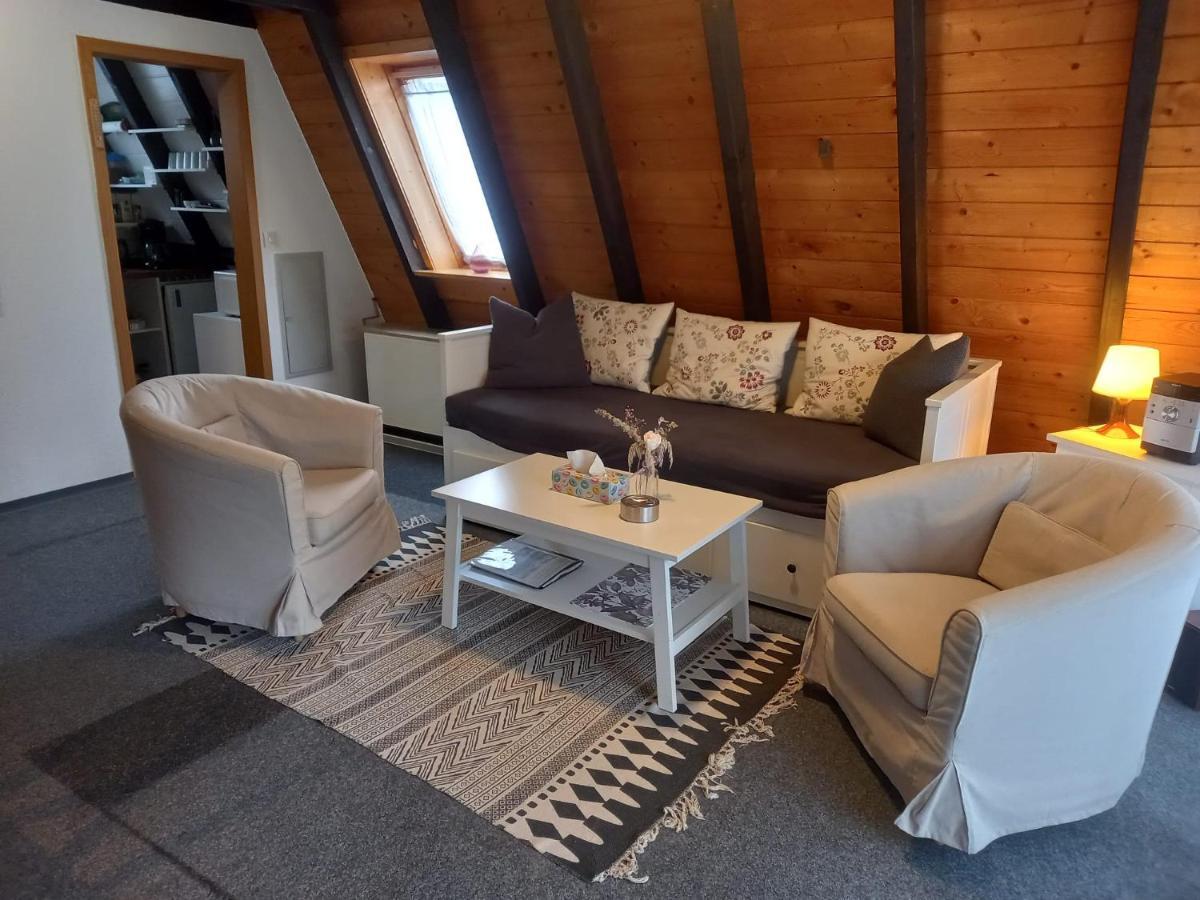 Gemuetliches Ferienhaus Mit Sonniger Terrasse Frankenwald Naehe Badesee Smart-Tv Lichtenberg  Eksteriør bilde